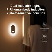 Lighting Wall Lamp