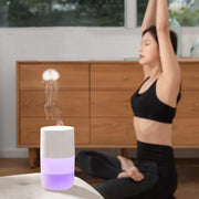 Air Humidifier
