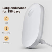 Lighting Wall Lamp
